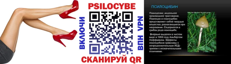 blacksprut маркетплейс  Прохладный  Псилоцибиновые грибы Psilocybe 